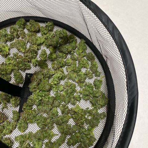 Wedding cake auto growlog timeline photo