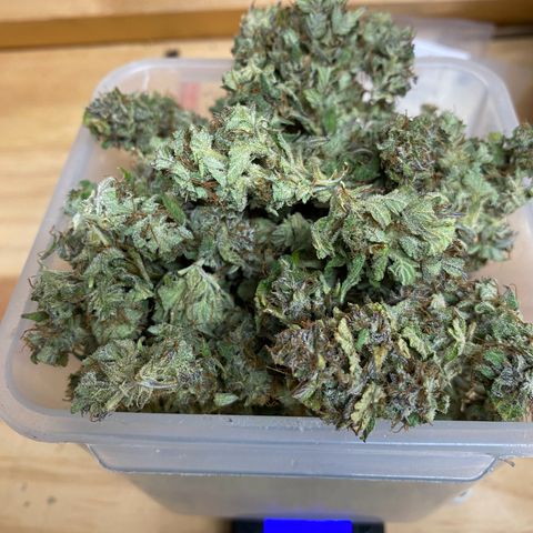 Wedding cake auto growlog timeline photo