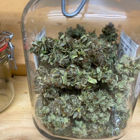 Wedding cake auto growlog timeline photo