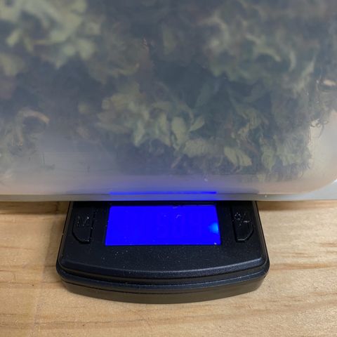Wedding cake auto growlog timeline photo