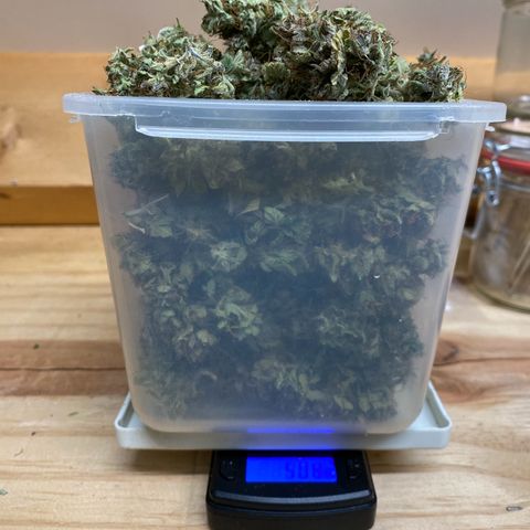 Wedding cake auto growlog timeline photo