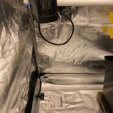 Milky Way growlog photo: Heater + heatmat installed
Heater on timer for the 4 dark hour
Matt on 24/7