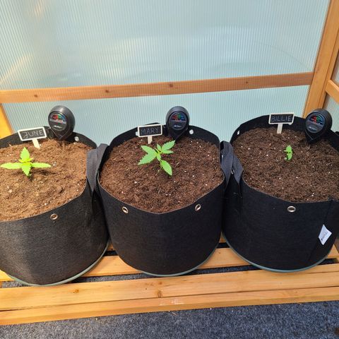 Mary growlog timeline photo
