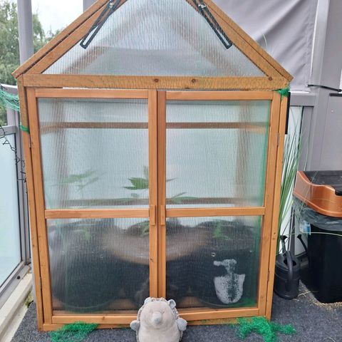 Mary growlog timeline photo