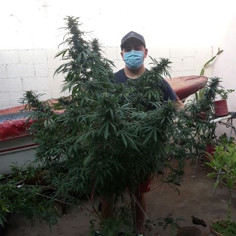 Genética desconocida growlog photo: 😍😍🌺🌺🙌