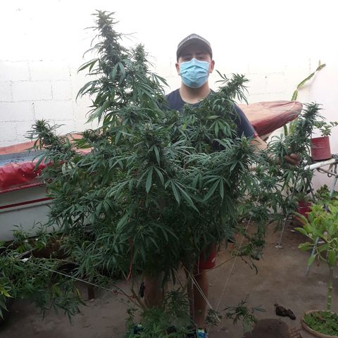 Genética desconocida growlog photo: 😍😍🌺🌺🙌