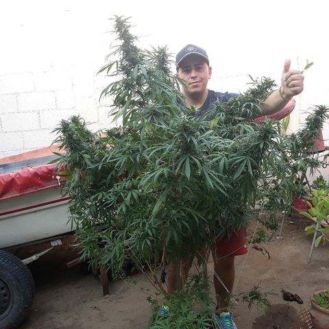Genética desconocida growlog photo: 😍😍🌺🌺🙌
