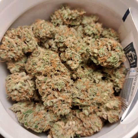 Cookies Kush #1 growlog photo: Cooookies :)