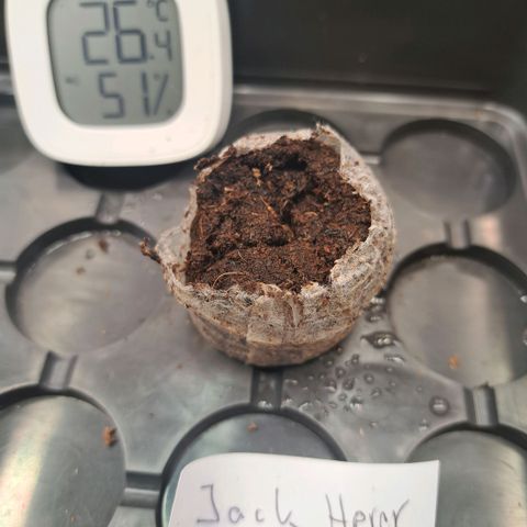 Jack Herer growlog timeline photo