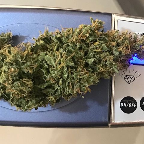Zkittlez Express growlog timeline photo