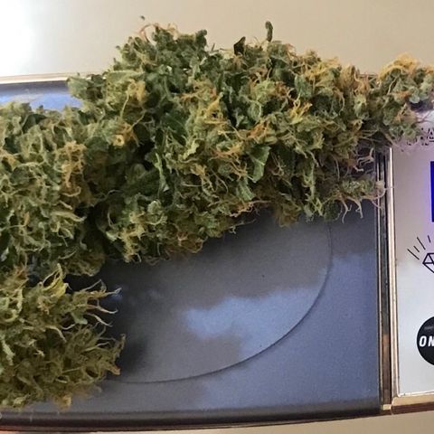 Zkittlez Express growlog timeline photo
