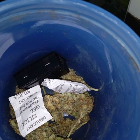 Durbon poison  growlog photo: Rendeu 30 g seca 