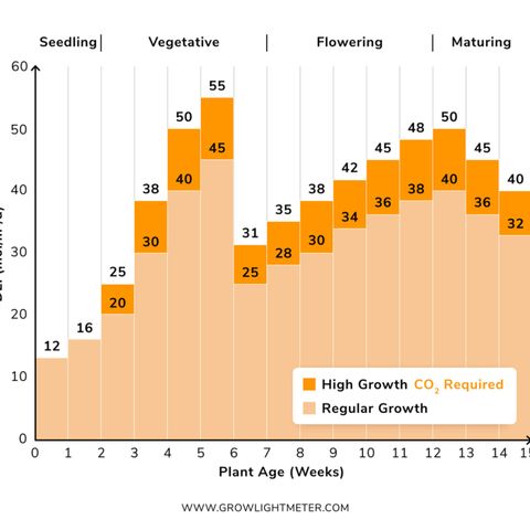 Auto Orange Bud growlog timeline photo