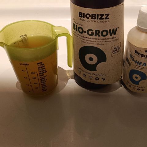 Auto Orange Bud growlog timeline photo