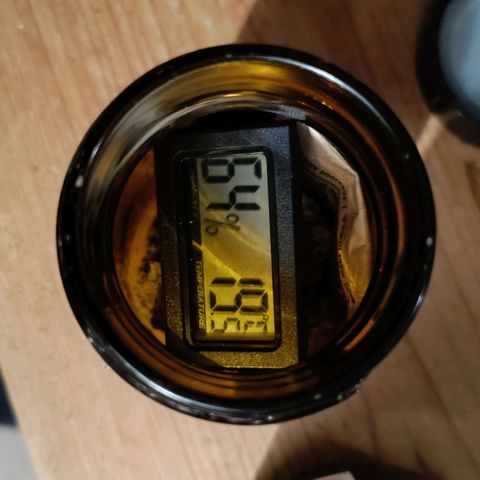 Auto Orange Bud growlog timeline photo