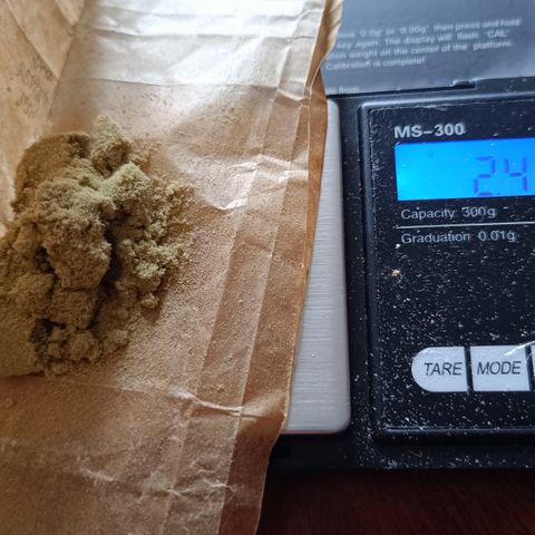 Auto Orange Bud growlog timeline photo