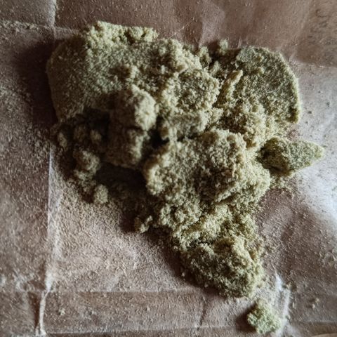 Auto Orange Bud growlog timeline photo