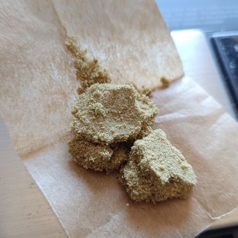 Auto Orange Bud growlog timeline photo