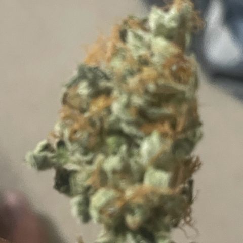 Grand Daddy Purp growlog timeline photo