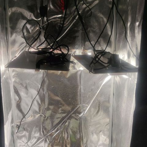 Dark Devil Auto (Done) growlog timeline photo
