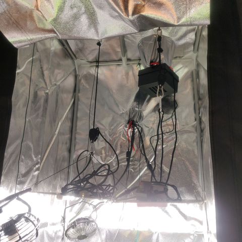 Dark Devil Auto (Done) growlog photo: What a mess 😂