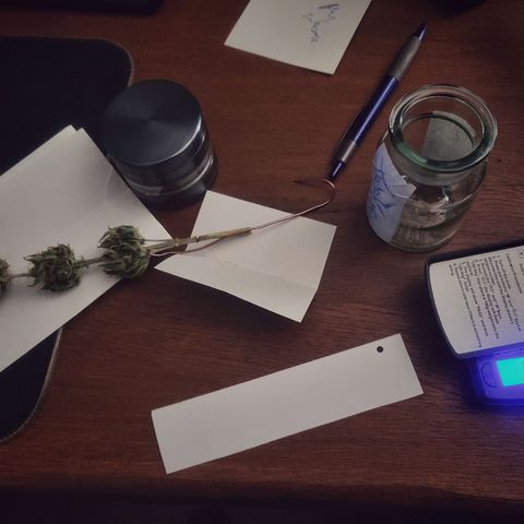 Pink Rozay Automatic (Done) growlog photo: Trim before Cure