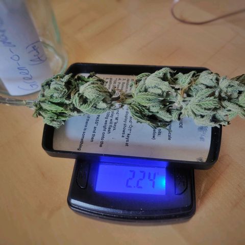 Green-O-Matic (Done) growlog timeline photo