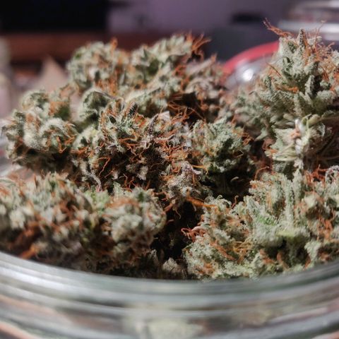 Dark Devil Auto (Done) growlog timeline photo