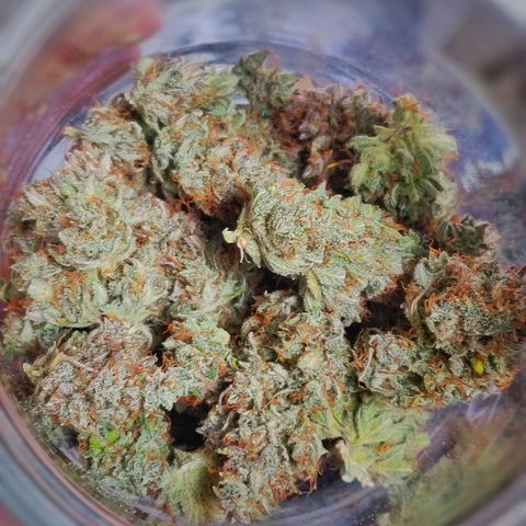 Dark Devil Auto (Done) growlog timeline photo