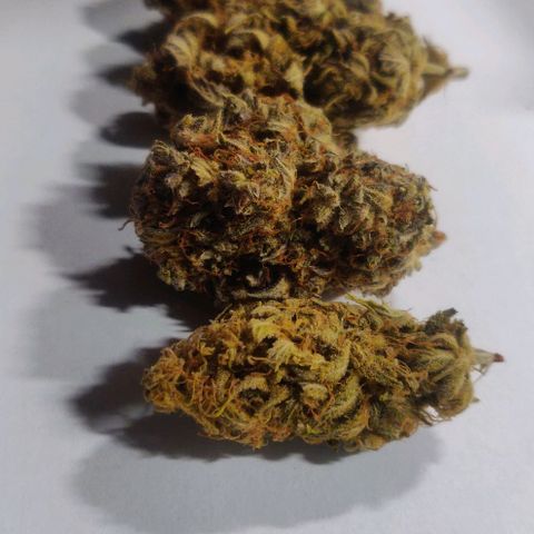 Dark Devil Auto (Done) growlog photo: Nach mindestens 20 Wochen (5 Monate) Curing Zeit. Amnesia ist immer noch die beste, in Form von Konsistenz, terpenenprofil, und Geschmack!
