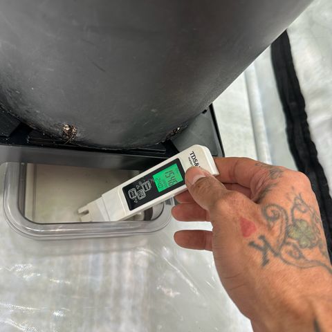 Sweet ZZ growlog timeline photo