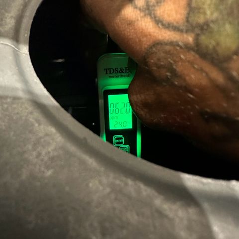 Sweet ZZ growlog timeline photo