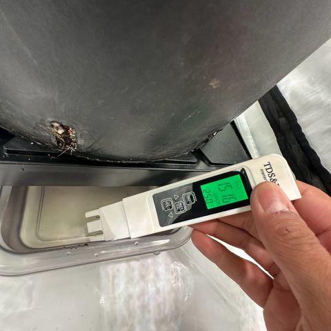 Sweet ZZ growlog timeline photo