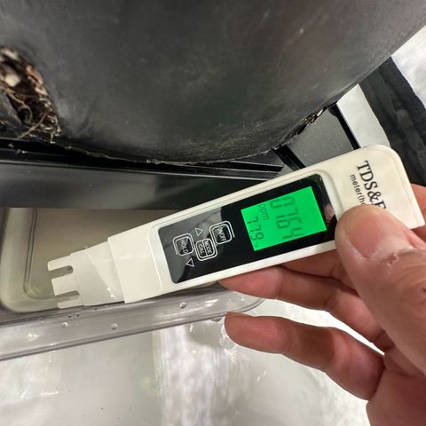 Sweet ZZ growlog timeline photo