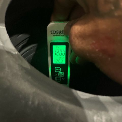 Sweet ZZ growlog timeline photo