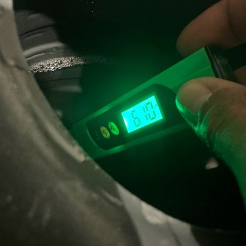 Sweet ZZ growlog timeline photo
