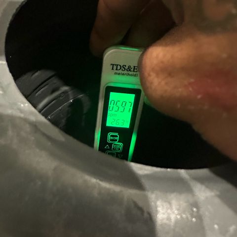 Sweet ZZ growlog timeline photo