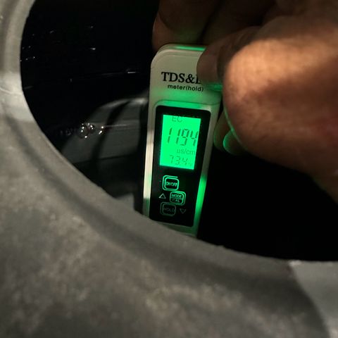 Sweet ZZ growlog timeline photo