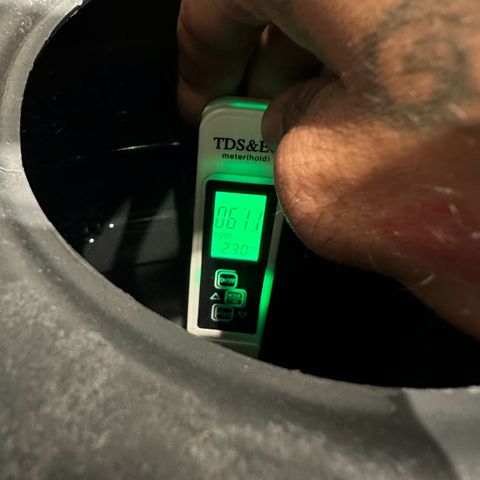 Sweet ZZ growlog timeline photo