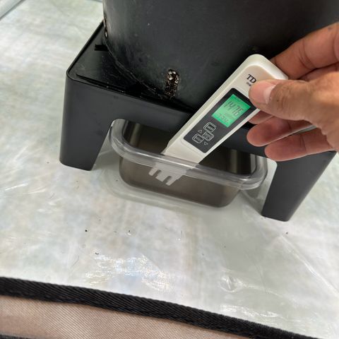 Sweet ZZ growlog timeline photo