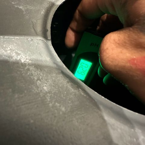Sweet ZZ growlog timeline photo