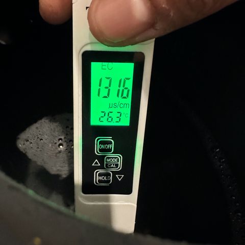 Sweet ZZ growlog timeline photo