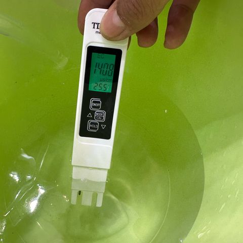 Sweet ZZ growlog timeline photo