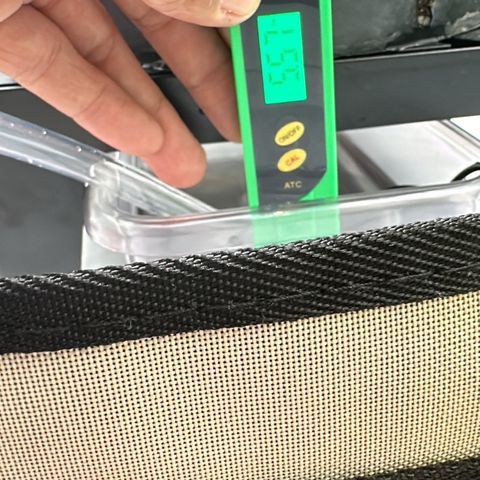 Sweet ZZ growlog timeline photo