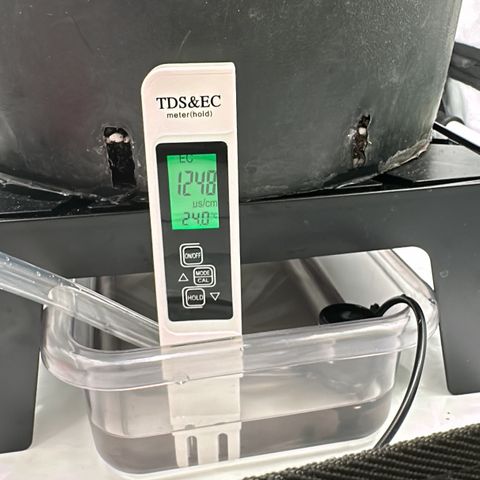 Sweet ZZ growlog timeline photo