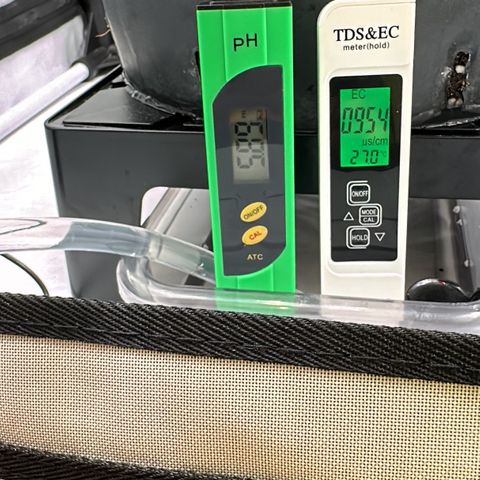 Sweet ZZ growlog timeline photo