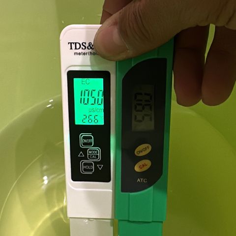 Sweet ZZ growlog timeline photo
