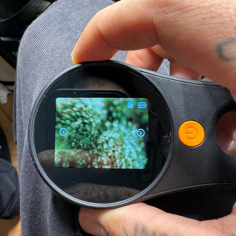 Sweet ZZ growlog timeline photo
