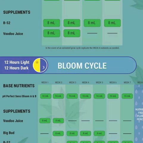 Gorilla Glue Fem - AC Infinity 5x5 growlog timeline photo