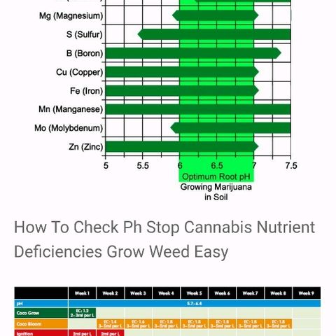 Moby Dick II #1 growlog timeline photo